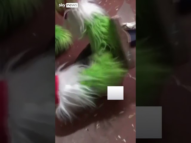 ⁣Officer dresses as Grinch for drugs raid in Peru