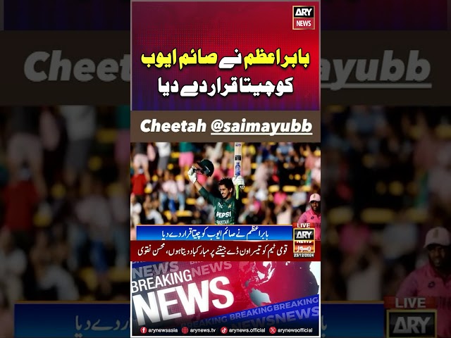 ⁣#babarazam #saimayub #chita #pakvssa #arynews #youtubeshorts #shorts #reels