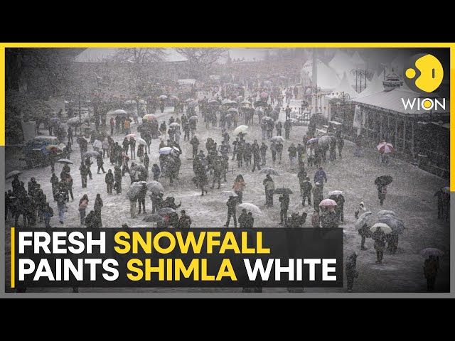 ⁣Shimla Turns Into Winter Wonderland | India News | World News | WION