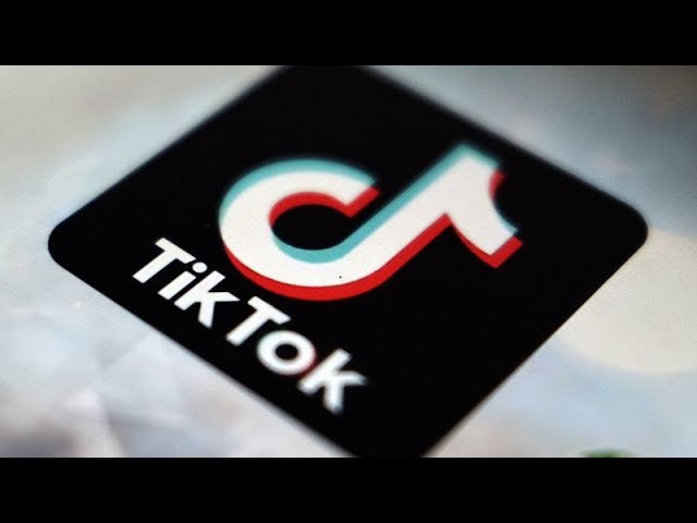 ⁣Viele Jugendliche sind wütend: TikTok in Albanien 1 Jahr lang verboten