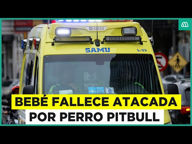 ⁣Bebé fallece atacada por perro pitbull en Talca