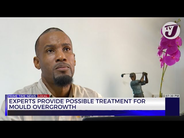 ⁣Experts Provide Possible Treatment for Mould Overgrowth | TVJ News