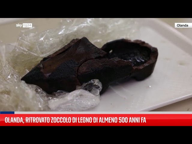 ⁣Olanda, ritrovato zoccolo di legno di almeno 500 anni fa