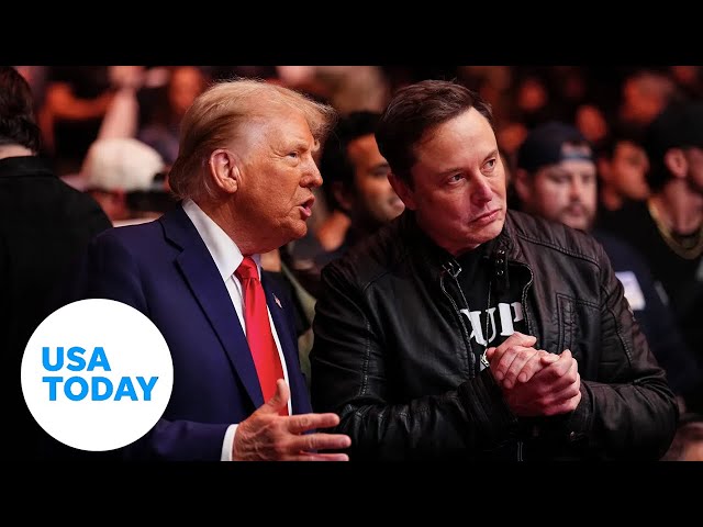 ⁣'He's a great guy.' Trump responds to ‘President Musk’ comments | USA TODAY