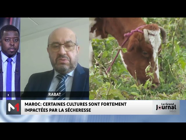 ⁣Sécheresse : le point sur la campagne agricole 2024 avec Rachid Benali