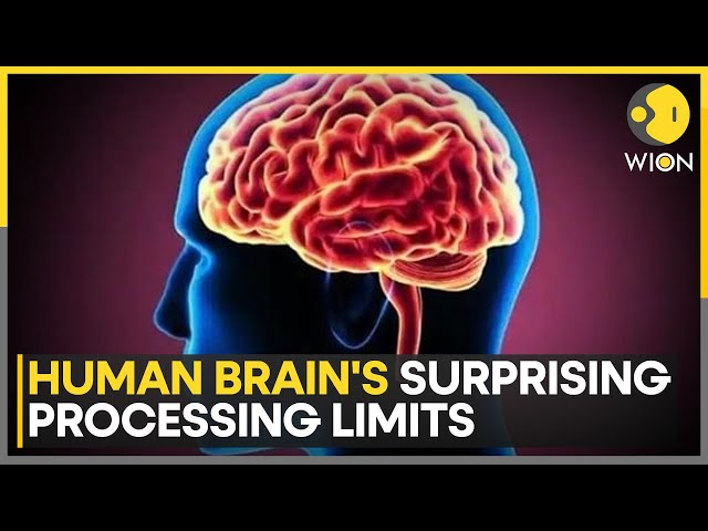 ⁣Scientists Measure The Exact Speed Of Human Thought | World News | WION