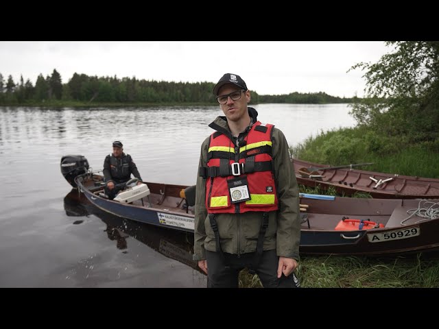 ⁣Drohnen und Angler-Kontrollen zum Schutz der Wildlachse in Europa