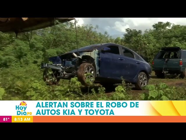 ⁣Policía alerta sobre aumento de robos de vehículos KIA y Toyota