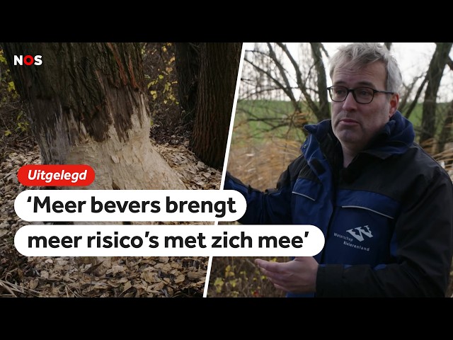 ⁣socialnos Bevers houden de waterschappen bezig CNO241223OO met logo