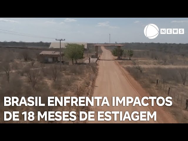 ⁣Conexão Verde: Brasil enfrenta 18 meses de estiagem com vários impactos