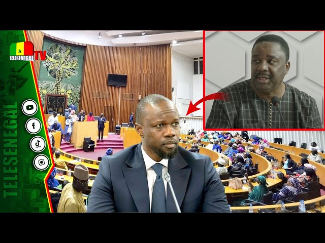 ⁣DPG de SONKO: Ali Sega Camara expose les 3 principaux enjeux