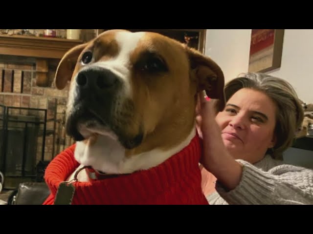 ⁣Community rallies around Elizabeth woman who lost home, dog in fire