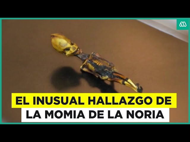 ⁣Viaje A Lo Insólito / ¿E.T de Noria?: La verdad detrás del extraño ser de Atacama