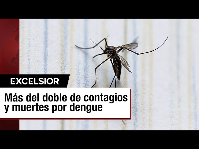 ⁣México reporta 123 mil 141 casos de dengue; 462 decesos