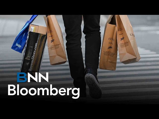 ⁣Canadian shoppers more cautious this holiday season: strategist