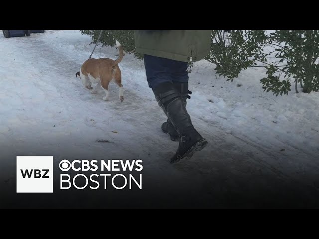 Boston residents asked to clear sidewalks