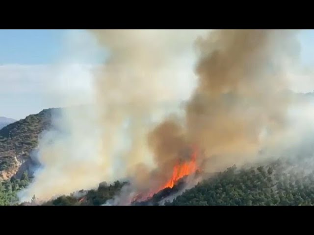 ⁣Fuerza Aérea vigilará incendios forestales desde el espacio con sistema SAF