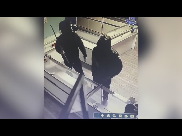 ⁣Thieves wanted after surveillance catches 2 break ins