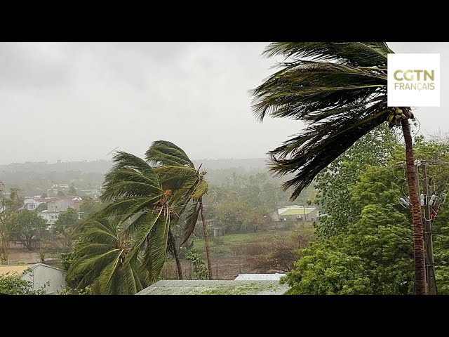 ⁣Mozambique : le bilan du cyclone Chido monte à 120 morts