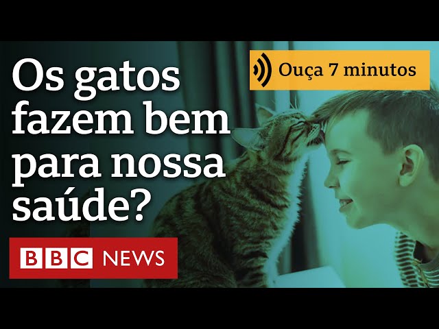 ⁣Os gatos fazem bem para nossa saúde?