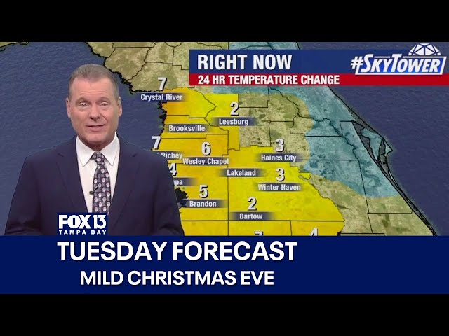 ⁣Tampa weather | Mild Christmas Eve