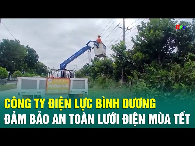 ⁣Công ty Điện lực Bình Dương đảm bảo an toàn lưới điện mùa Tết