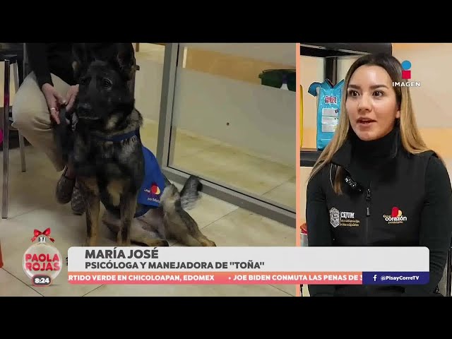 ⁣“La Toña” da terapia a niños víctimas de violencia en Tijuana, Baja California | DPC con Paola Rojas