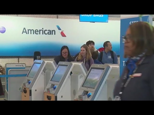 ⁣American Airlines flights temporarily grounded after nationwide 'technical issue'