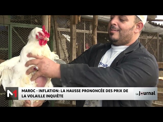 ⁣La hausse prononcée des prix de la volaille inquiète