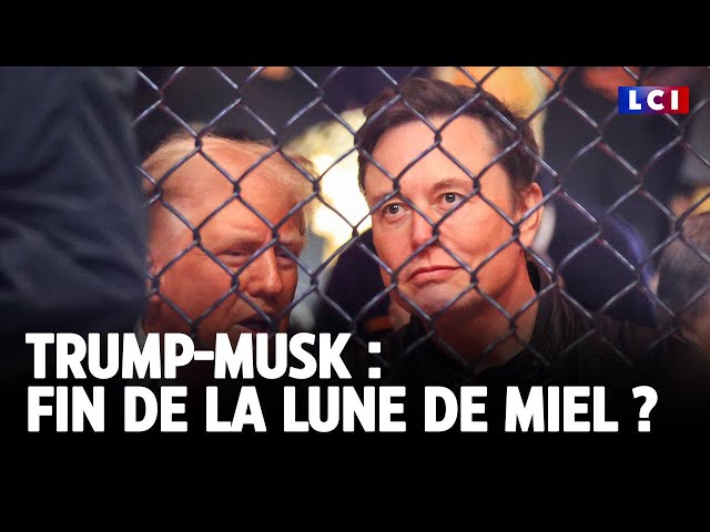 ⁣Trump-Musk : fin de la lune de miel ?  ｜LCI