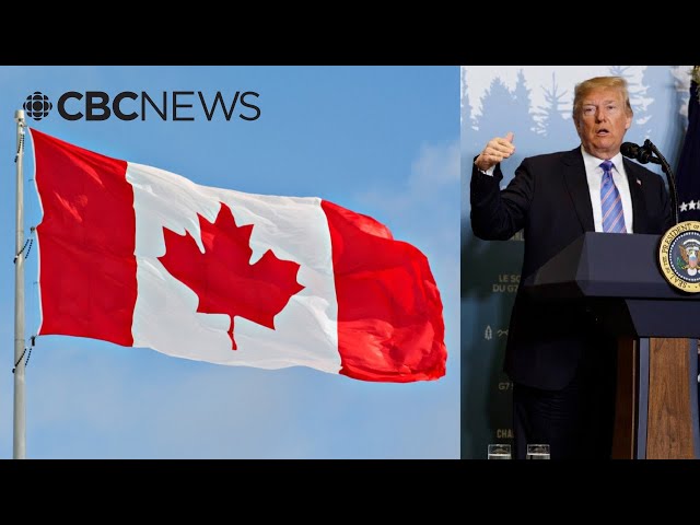 ⁣Eric Trump posts meme of Donald Trump ‘buying’ Canada