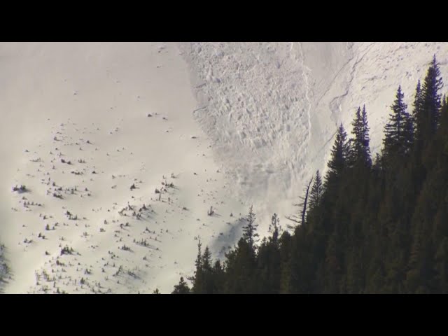 ⁣A "very dangerous rescue" | B.C. paramedic on five skiers caught in avalanche