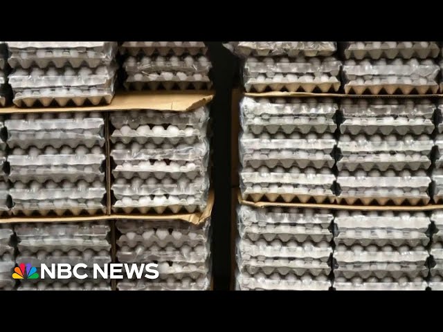 ⁣Recalled Costco eggs now classified at highest FDA risk level