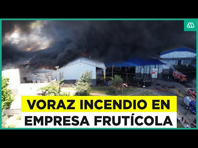 Voraz incendio afecta a instalaciones de empresa frutícola en Requínoa