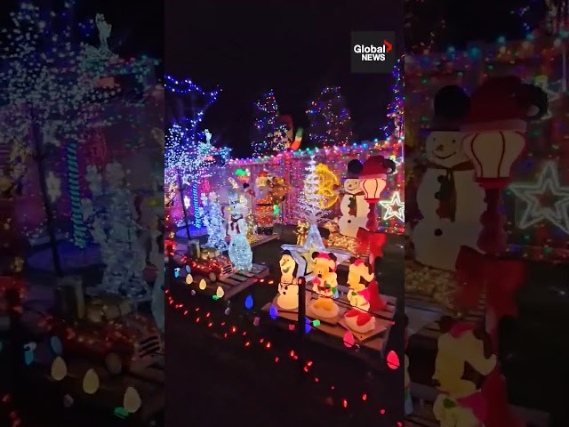 ⁣Stunning ‘Griswold House’ Christmas display steals the show in Ontario