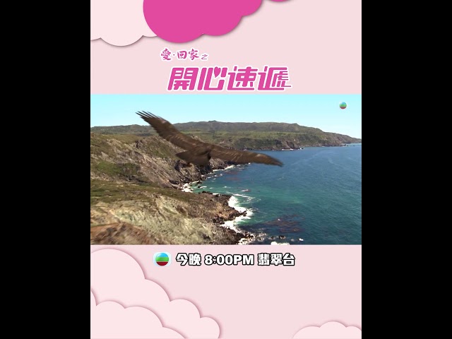 愛回家之開心速遞｜第2457集預告｜守騰卻鎮過聖誕（中） #TVB #劇集 #聖誕