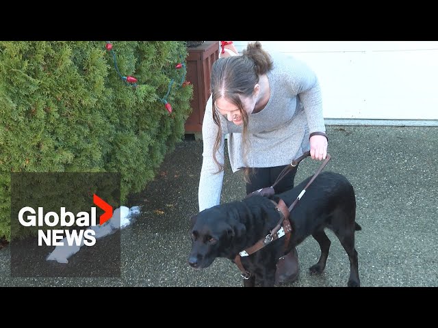 ⁣Blind woman denied bus ride in BC, company says she didn't follow policy for service dog