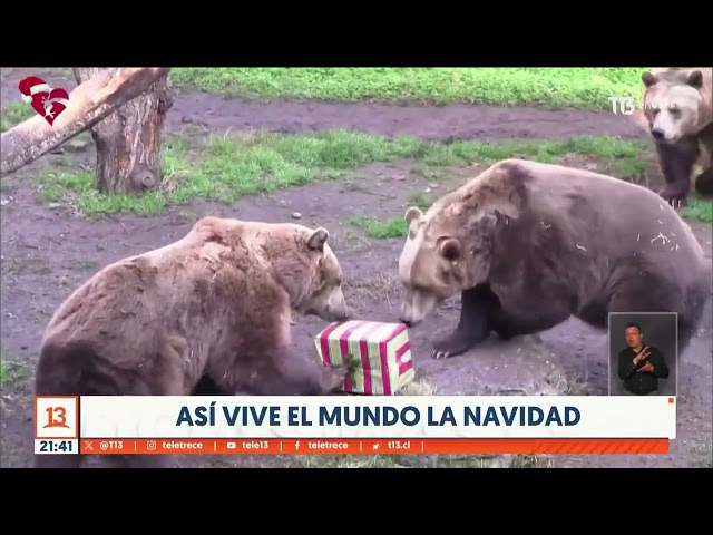 ⁣Así vive el mundo la Navidad 2024