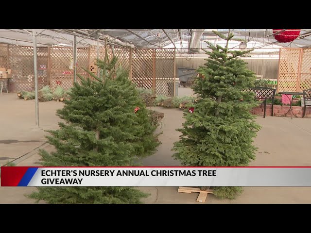 ⁣Arvada business hosts Christmas tree giveaway