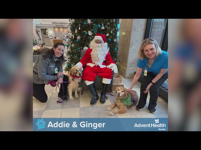 ⁣AdventHealth hospital system celebrates the holidays with therapy dogs