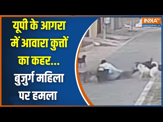 ⁣Agra Street Dog Attack: आगरा में सैर पर निकली महिला.. कुत्तों ने किया अटैक | Breaking News