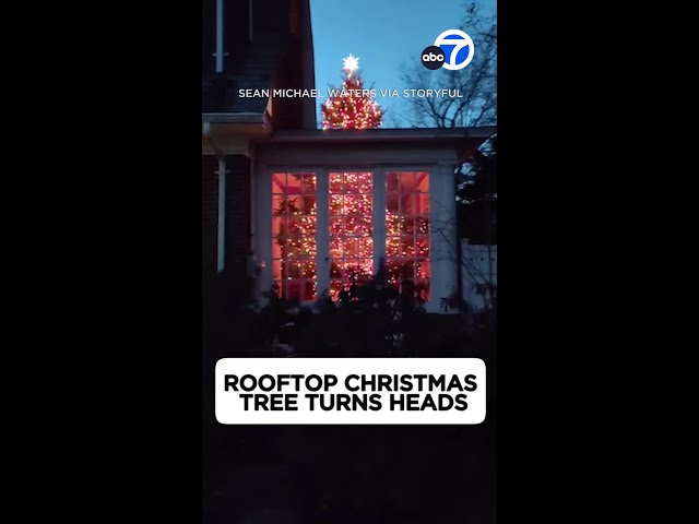 ⁣Rooftop Christmas tree turns heads