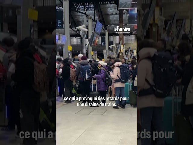 ⁣Le suicide d'un conducteur de TGV depuis sa cabine, à l'origine des retards de Noël