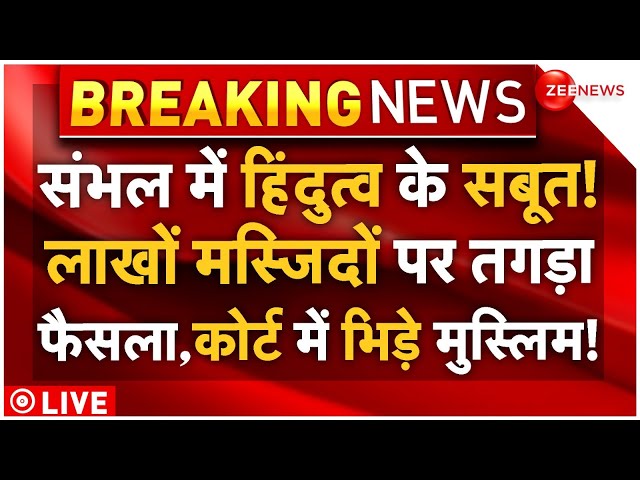 ⁣Court Big Decision On Sambhal Mosque LIVE: मस्जिदों पर सबसे बड़ा 'फैसला', कोर्ट में भड़क उठ