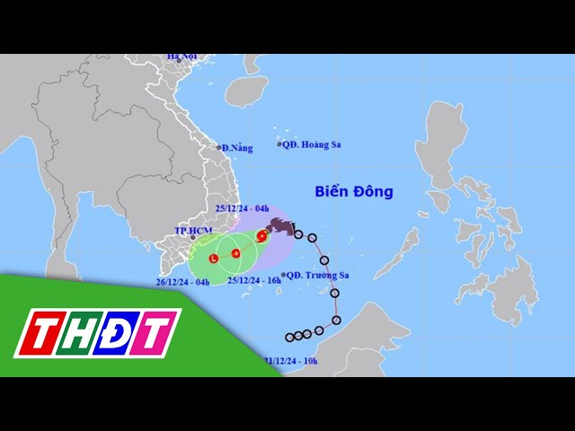 ⁣Áp thấp nhiệt đới trên vùng biển Ninh Thuận - Bà Rịa Vũng Tàu | THDT