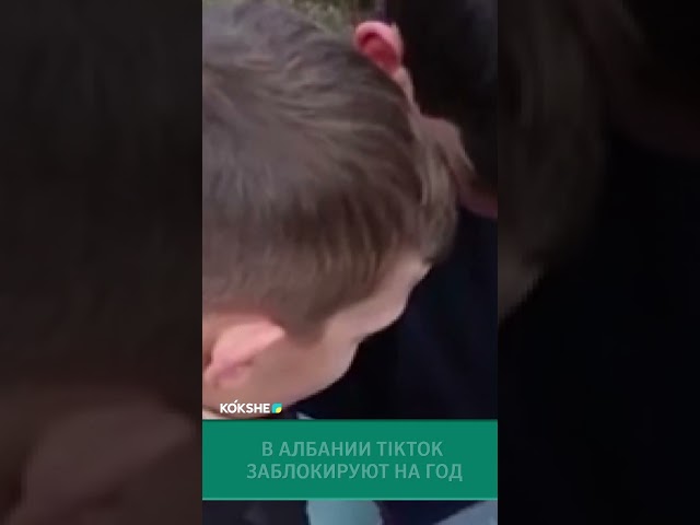 ⁣В Албании TikTok заблокируют на год #news