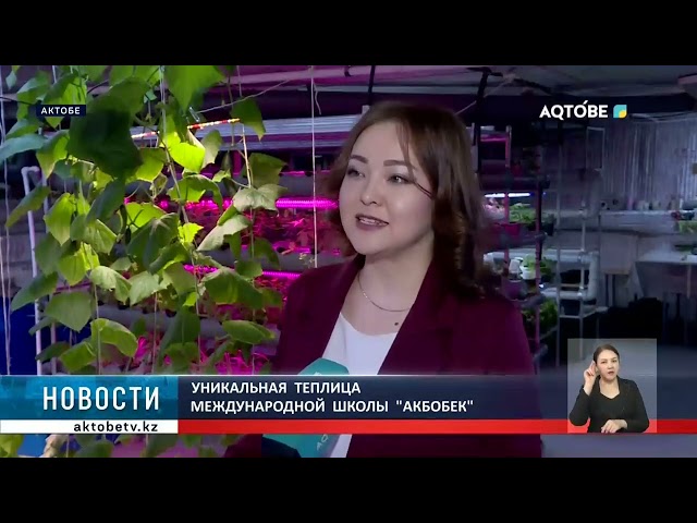 ⁣Уникальная  теплица  международной  школы  "Акбобек"