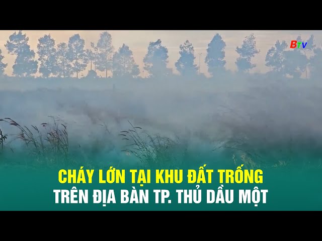 ⁣C.h.á.y lớn tại khu đất trống trên địa bàn TP. Thủ Dầu Một