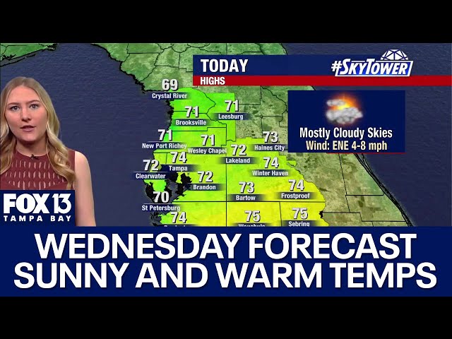 ⁣Tampa weather | Mild conditions for Christmas