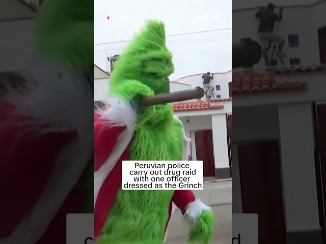 ⁣Peruvian police carry out drug raid with one officer dressed as the Grinch